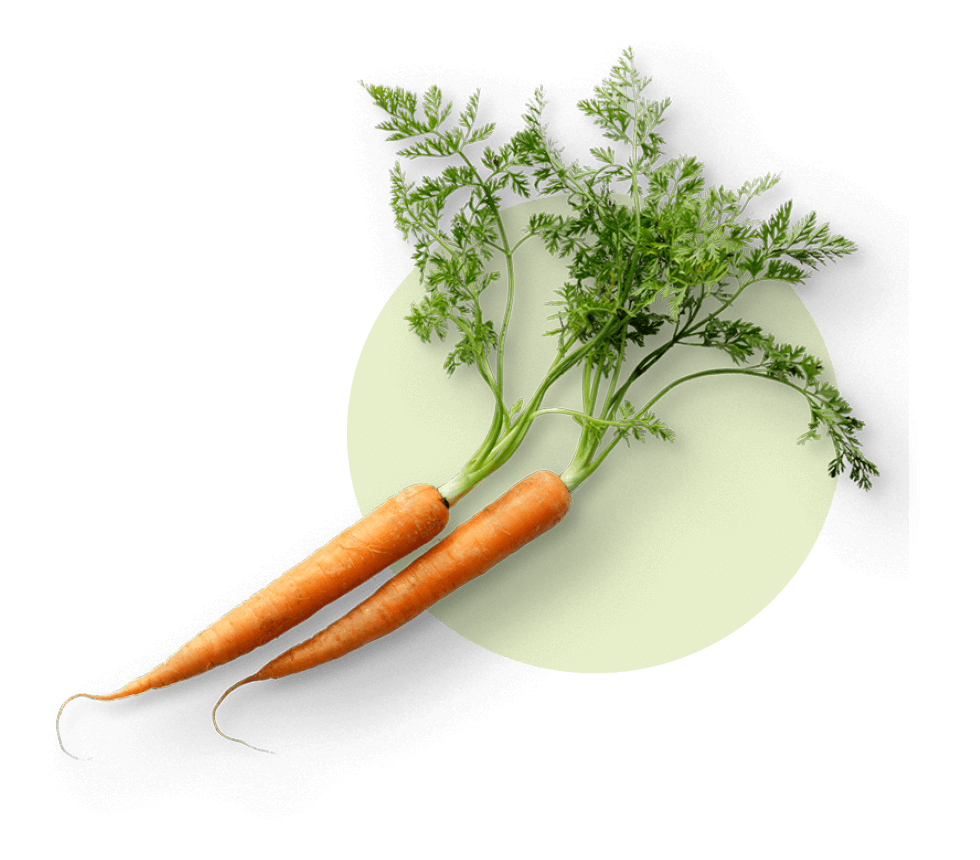 oekoland-unternehmen-faq-moehren-980x860