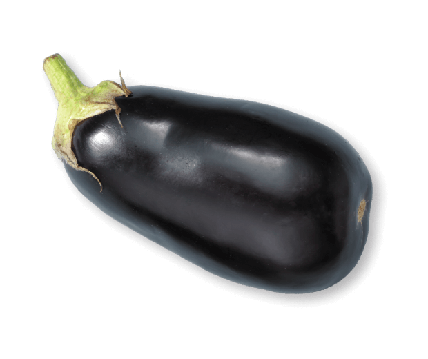 oekoland-unternehmen-historie-aubergine-620x520