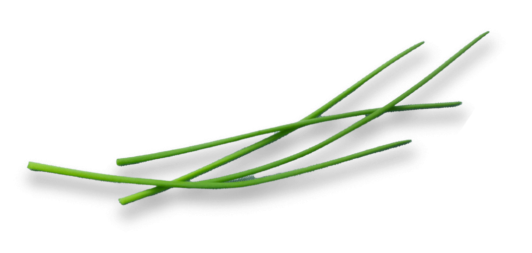 oekoland-unternehmen-jobs-schnittlauch-1070x510