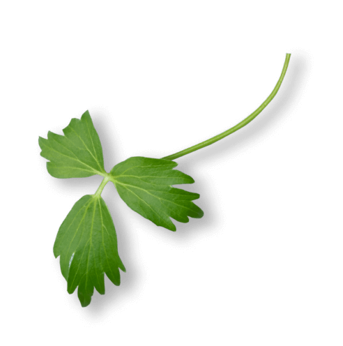 oekoland-unternehmen-kontakt-liebstoeckel-1-492x496