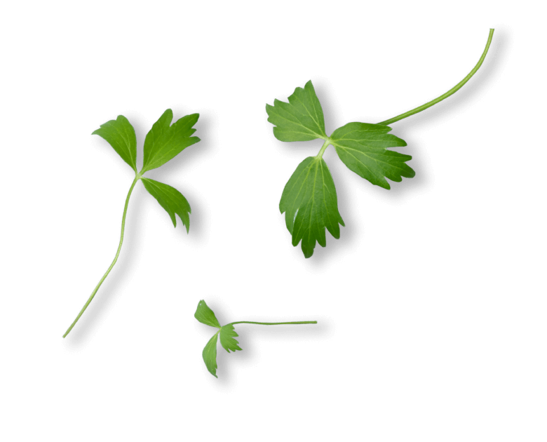 oekoland-unternehmen-kontakt-liebstoeckel-2-780x630