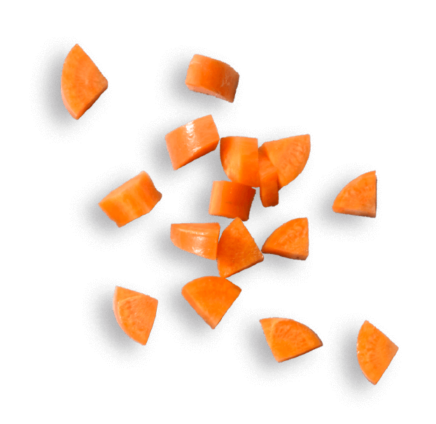 oekoland-unternehmen-moehrenstuecke-623x606