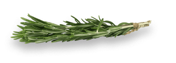 oekoland-unternehmen-rosmarin-690x250