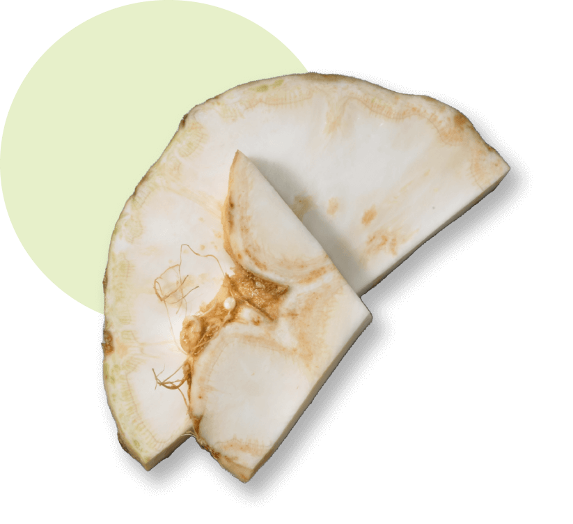 oekoland-unternehmen-sellerie-823x752