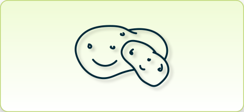 h-bio-kartoffel-spezialitaeten-481x211