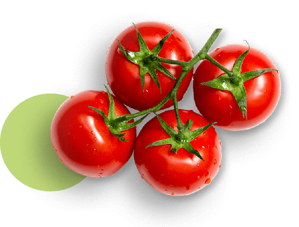 oekoland-home-tomaten-kreis-603x457px