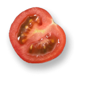 oekoland-produkte-bio-tiefkuehl-halbe-tomate-305x295px