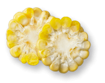 oekoland-produkte-mais-350x275px