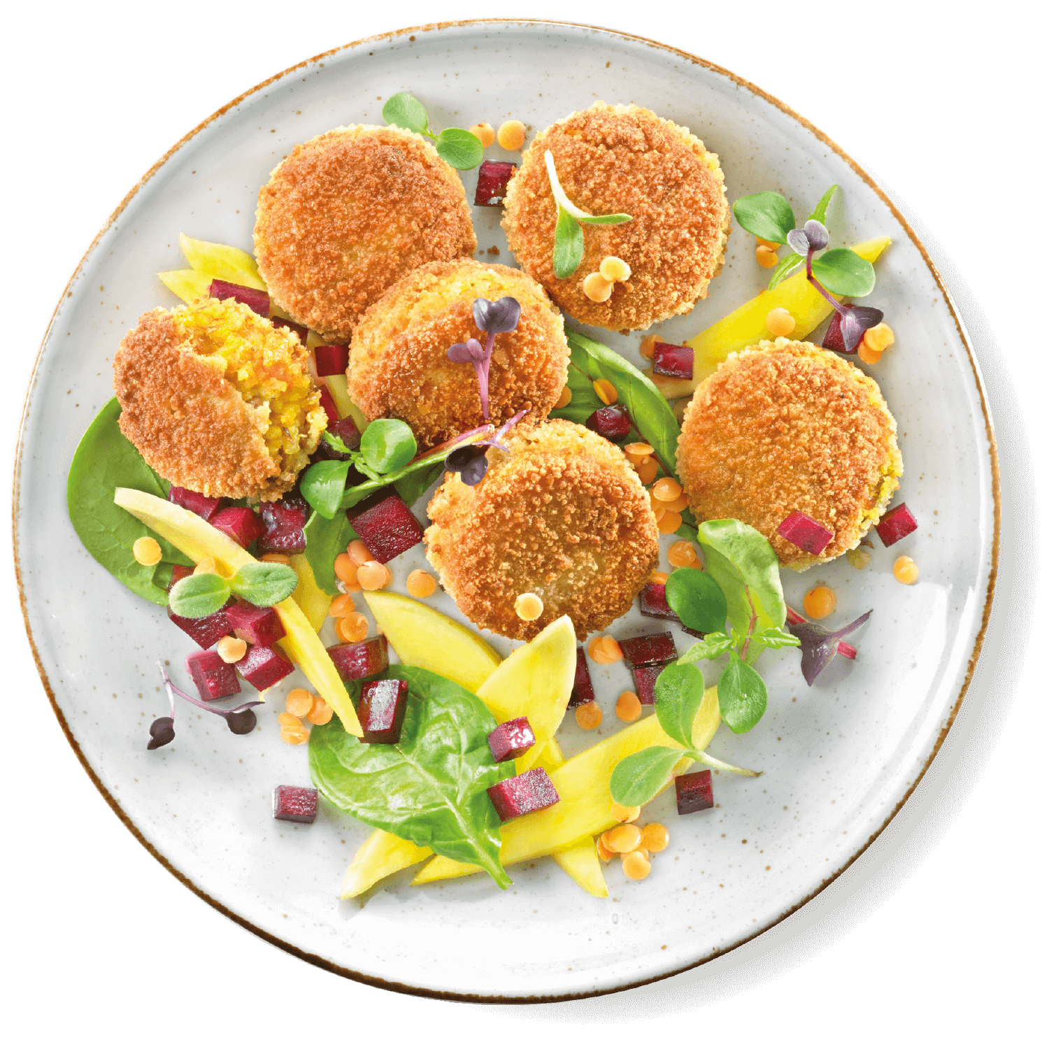 oekoland-produkte-neue-produkte-teller-frikadellen-1500x1500px