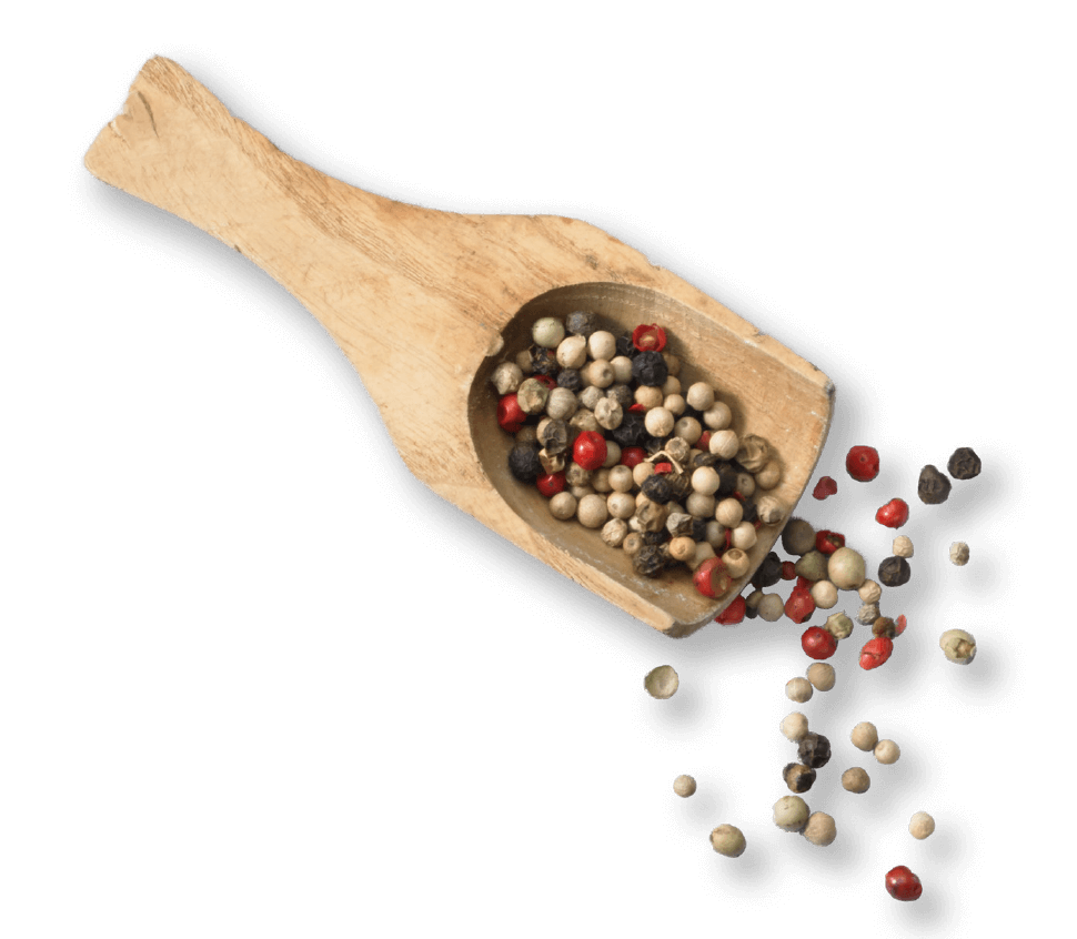 oekoland-rezepte-pfefferschuette-970x846px