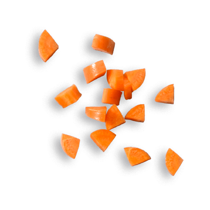 oekoland-rezepte-saucebologne-karottenstuecke-700x700px