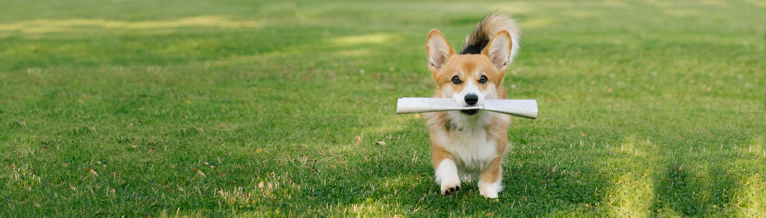 oekoland-unternehmen-aktuelles-header-2600x735px-1335701179