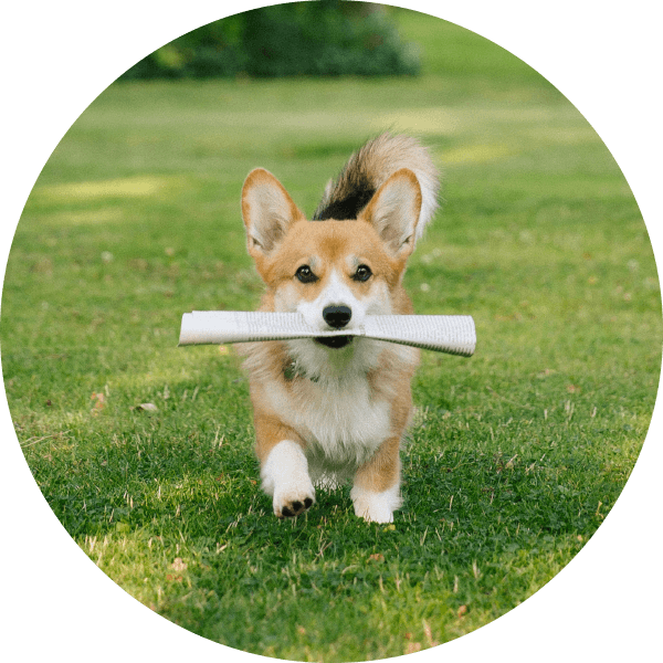 oekoland-unternehmen-aktuelles-kreis-600x600px