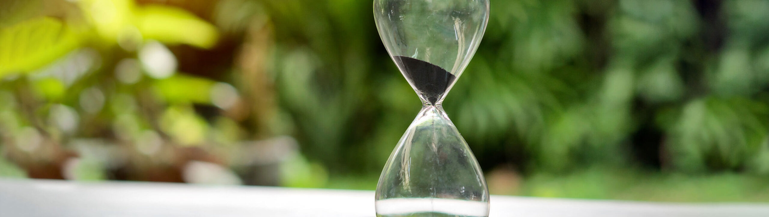 oekoland-unternehmen-historie-header-2600x735px-629358800