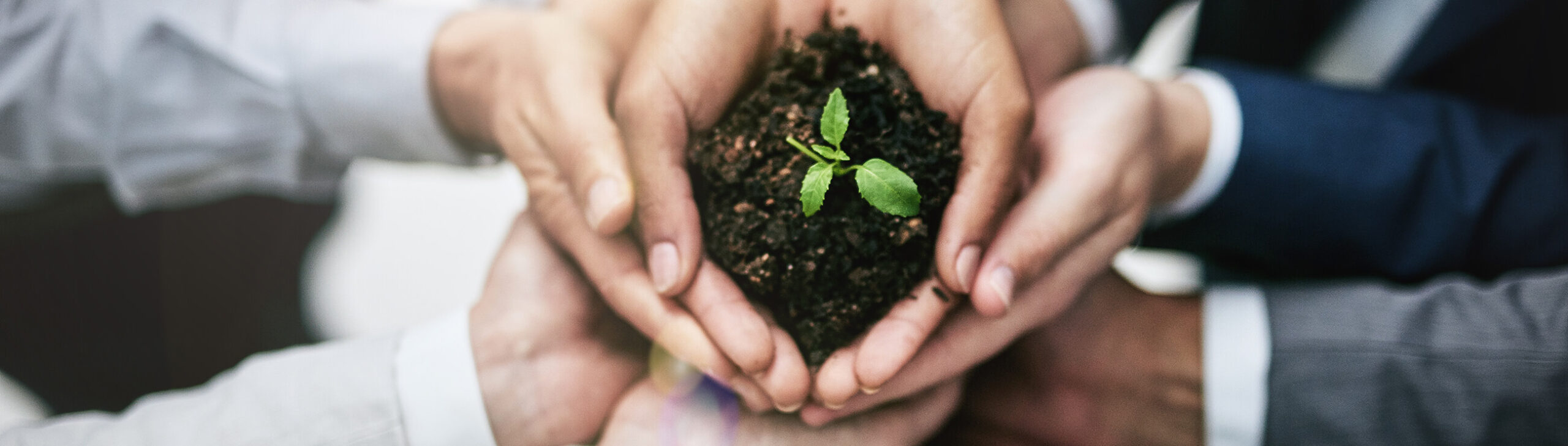 oekoland-unternehmen-jobs-header-2600x735px-629358800