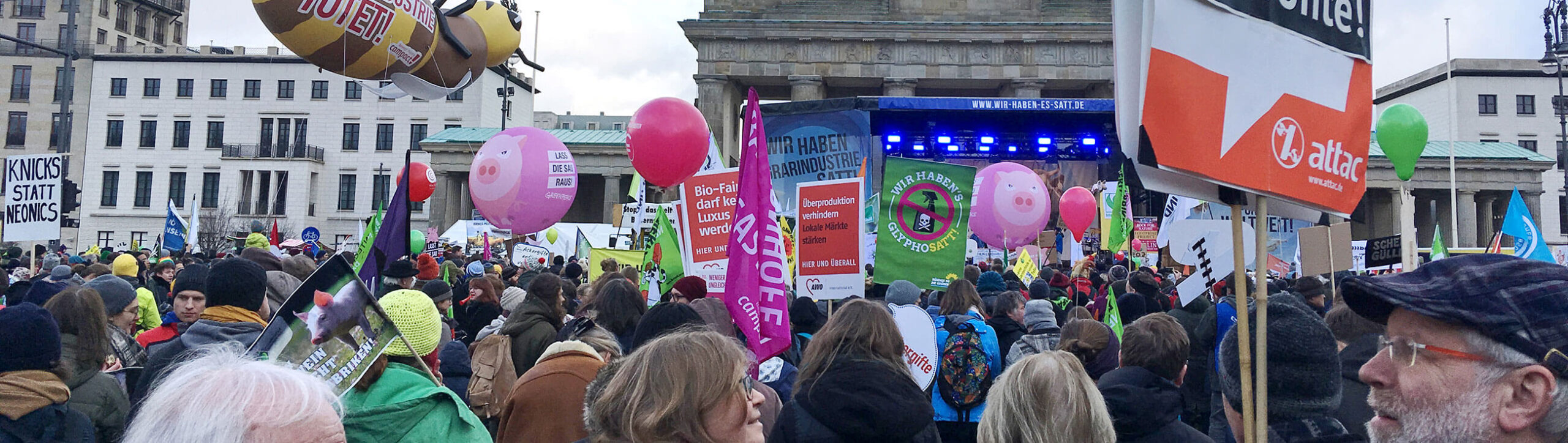 oekoland-verantwortung-engagement-politisches-engagement-header-2600x735px