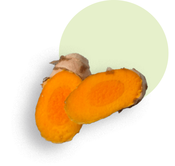 oekoland-verantwortung-engagement-politisches-engagement-kurkuma-614x582px