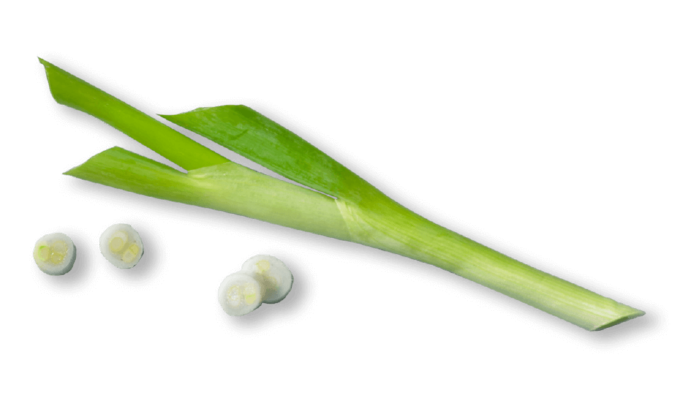 oekoland-verantwortung-lauchzwiebeln-965x555px