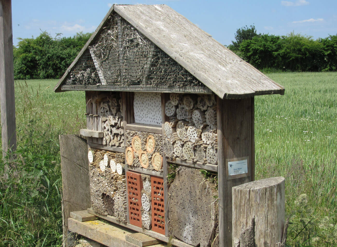 oekoland-verantwortung-nachhaltigkeit-biodiversitaet-1300x951px