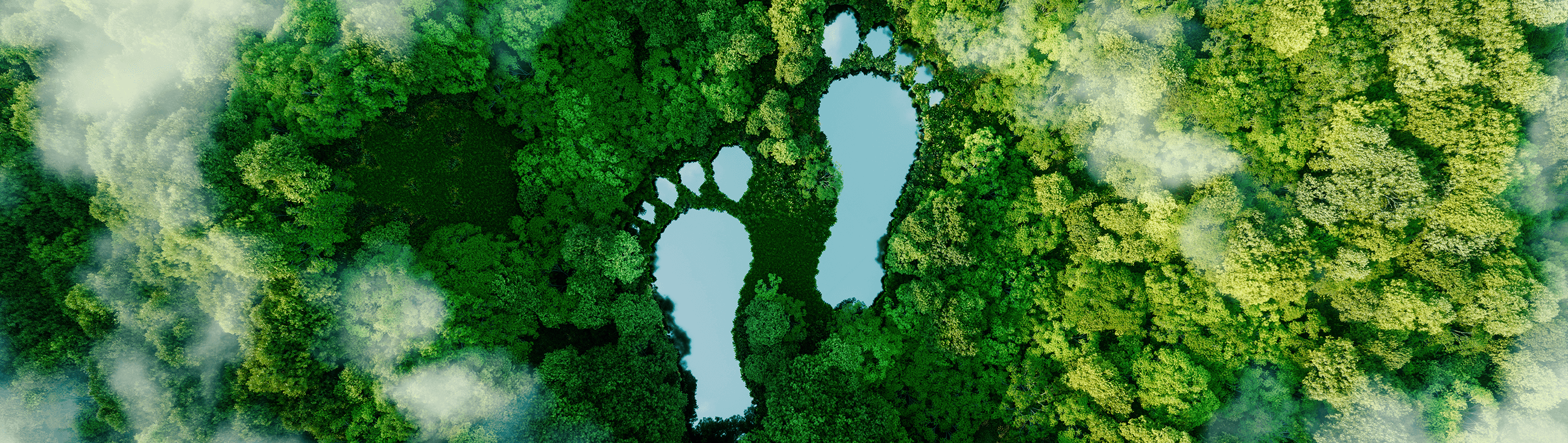 oekoland-verantwortung-nachhaltigkeit-header-fuesse-2600x735px