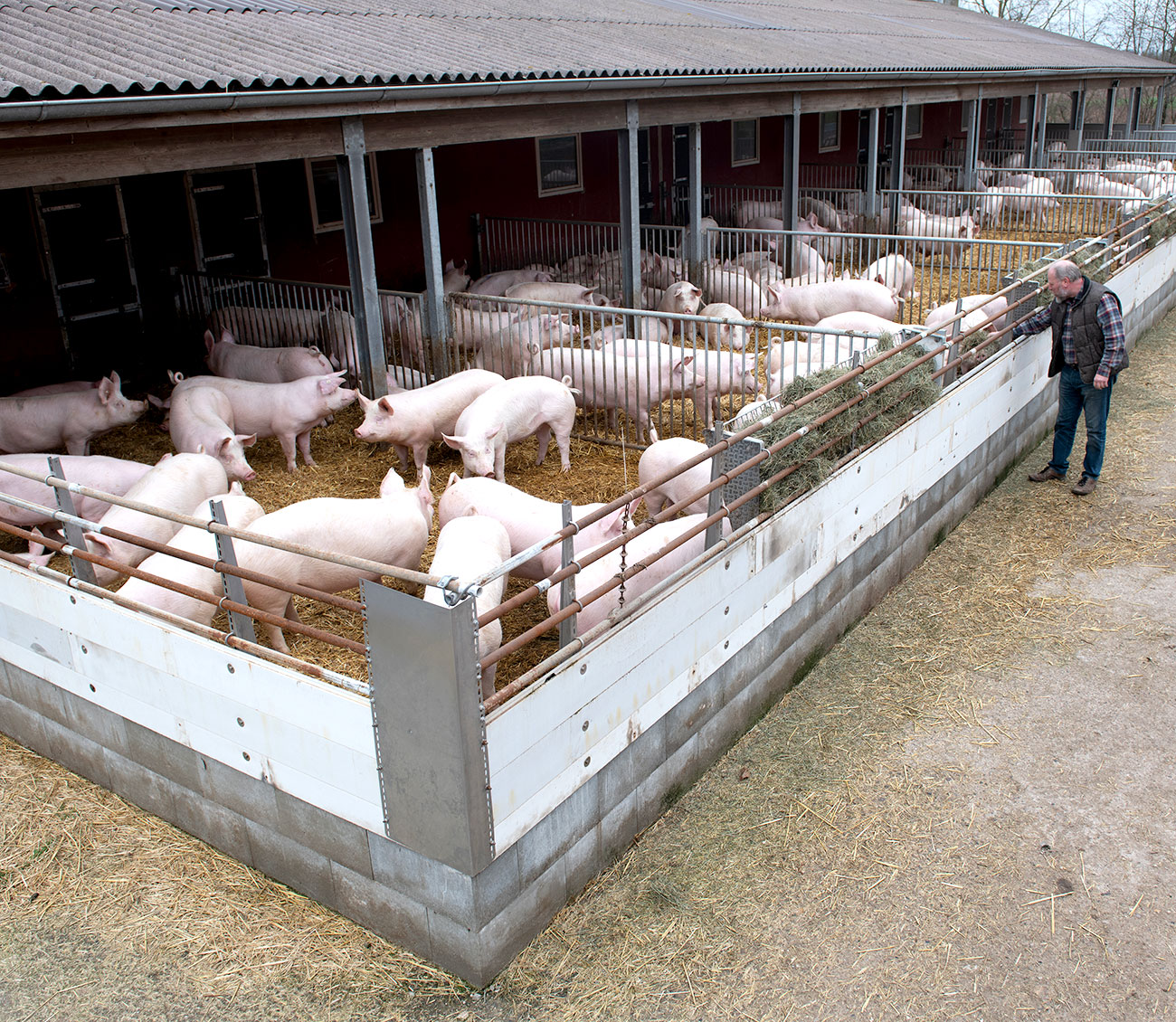 oekoland-verantwortung-partnerschaften-bauer-loose-1300x1130px