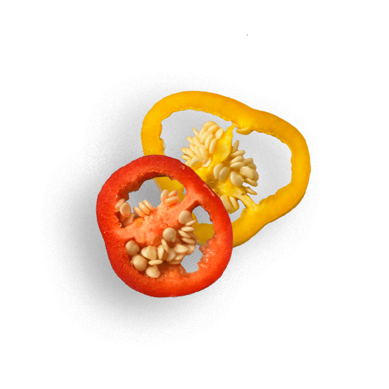 oekoland-verantwortung-qualitaet-paprika-690x540px