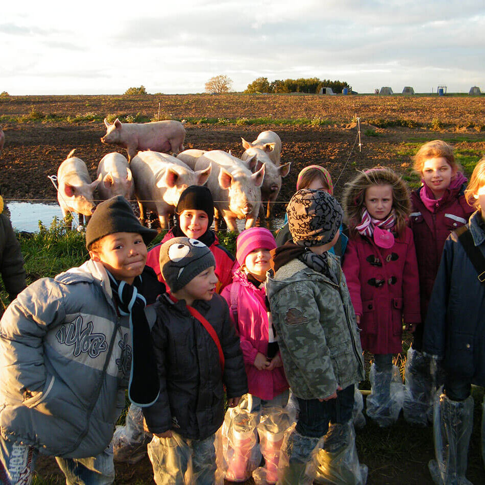 oekoland-historie-collage-4-1300x950px